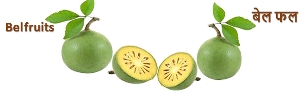 belfruits