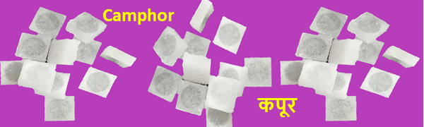 camphor