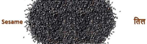 sesame