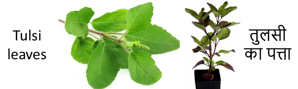tulsileave